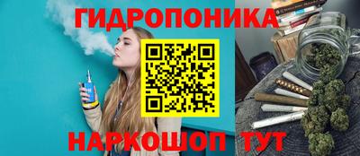 скорость Гатчина