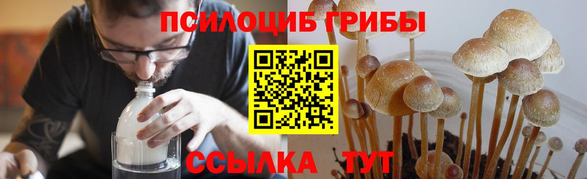 Юрга  Галлюциногенные грибы ЛСД  как найти закладки  Вход с VPN 